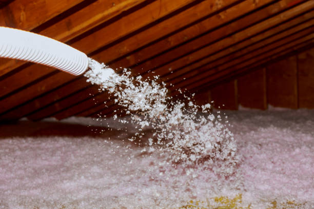 Best Eco-Friendly Insulation in Clarkdale, AZ